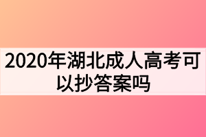 2020年湖北成人高考可以抄答案吗？