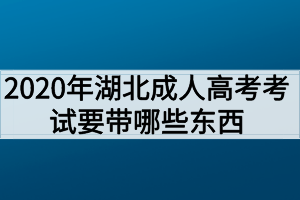 2020年湖北成人高考考试要带哪些东西