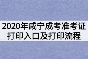 2020年咸宁成人高考准考证打印入口及打印流程