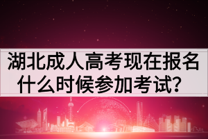 湖北成人高考现在报名什么时候参加考试？