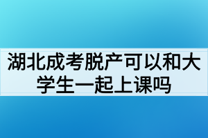 湖北成考脱产可以和大学生一起上课吗？