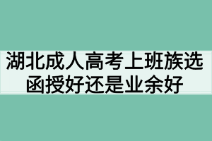 湖北成人高考上班族选函授好还是业余好