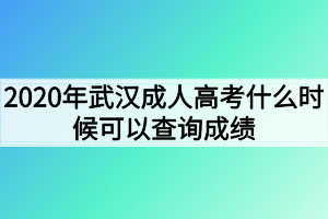 2020年武汉成人高考什么时候可以查询成绩？查询入口在哪