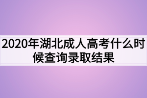 2020年湖北成人高考什么时候查询录取结果