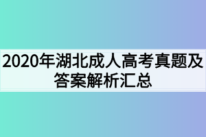 2020年湖北成人高考真题及答案解析汇总