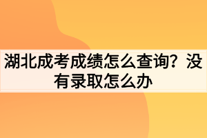 湖北成考成绩怎么查询？没有录取怎么办