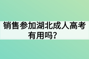 销售参加湖北成人高考有用吗？