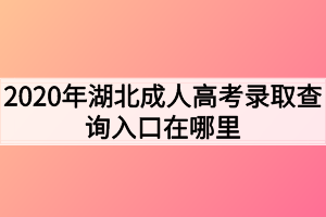 2020年湖北成人高考录取查询入口在哪里