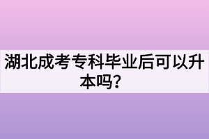 湖北成考专科毕业后可以升本吗？