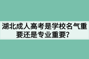 湖北成人高考是学校名气重要还是专业重要？