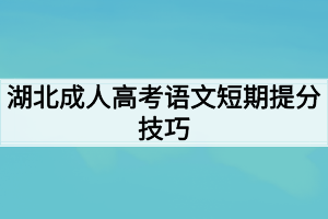 湖北成人高考语文短期提分技巧