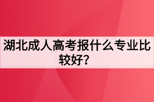 湖北成人高考报什么专业比较好？