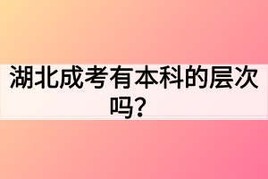 湖北成考有本科的层次吗？