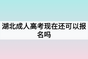 湖北成人高考现在还可以报名吗