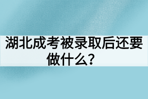 湖北成考被录取后还要做什么？