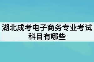 湖北成考电子商务专业考试科目有哪些