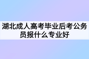 湖北成人高考毕业后考公务员报什么专业好