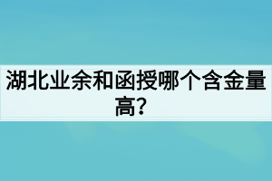湖北业余和函授哪个含金量高？