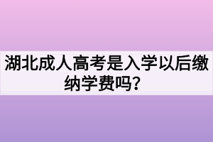 湖北成人高考是入学以后缴纳学费吗？