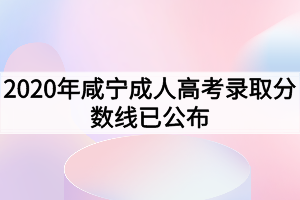 2020年咸宁成人高考录取分数线已公布