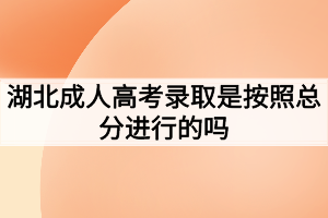 湖北成人高考录取是按照总分进行的吗？