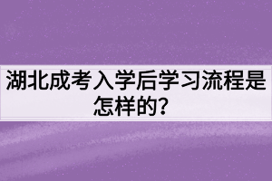 湖北成考入学后学习流程是怎样的？