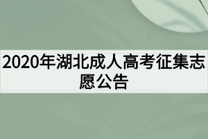 2020年湖北成人高考征集志愿公告