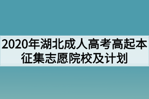 2020年湖北成人高考高起本征集志愿院校及计划