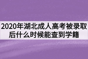 2020年湖北成人高考被录取后什么时候能查到学籍