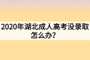 2020年湖北成人高考没录取怎么办？