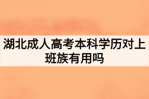 湖北成人高考本科学历对上班族有用吗