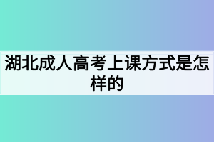 湖北成人高考上课方式是怎样的