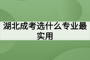 湖北成考选什么专业最实用