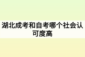 湖北成考和自考哪个社会认可度高？