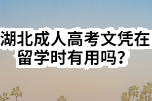 湖北成人高考文凭在留学时有用吗？