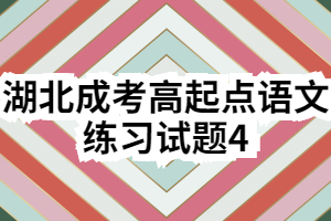 湖北成考高起点语文练习试题4