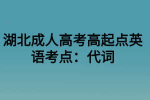 湖北成人高考高起点英语考点：代词