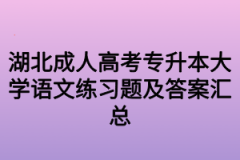 湖北成人高考专升本大学语文练习题及答案汇总