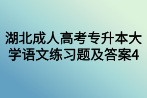 湖北成人高考专升本大学语文练习题及答案4