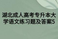 湖北成人高考专升本大学语文练习题及答案5