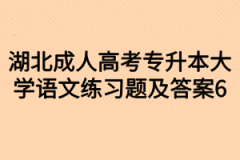 湖北成人高考专升本大学语文练习题及答案6