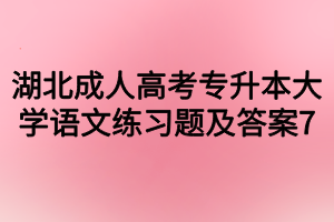 湖北成人高考专升本大学语文练习题及答案7