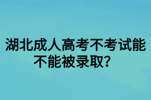 湖北成人高考不考试能不能被录取？