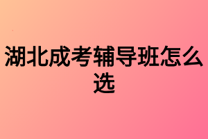 湖北成考辅导班怎么选