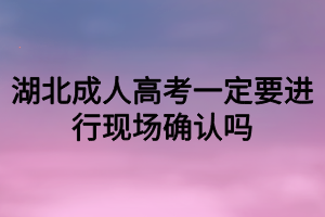 湖北成人高考一定要进行现场确认吗
