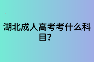 湖北成人高考考什么科目？