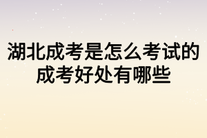 湖北成考是怎么考试的？成考好处有哪些