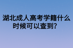 湖北成人高考学籍什么时候可以查到？
