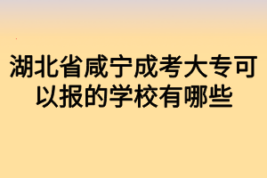 湖北省咸宁成考大专可以报的学校有哪些