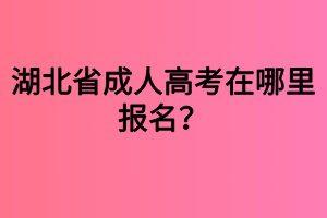 湖北省成人高考在哪里报名？